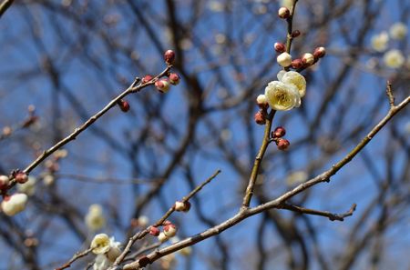 DSC_0677_1600.jpg