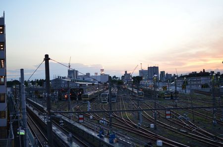 DSC_0737_1024.jpg