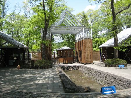 IMG_0688_1024.jpg