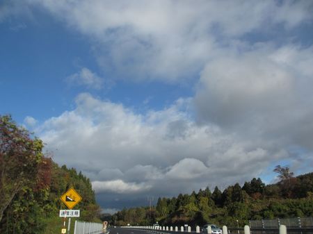 IMG_2408_1024.jpg