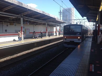 IMG_2648_1600.jpg