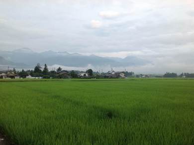 image-8.jpg