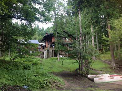 image-9.jpg